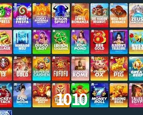 Platform Technology 1010